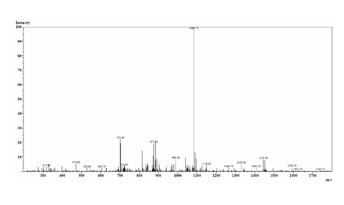 amyloid peptide