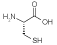 Cysteine