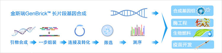 genebrick_gene_synthesis