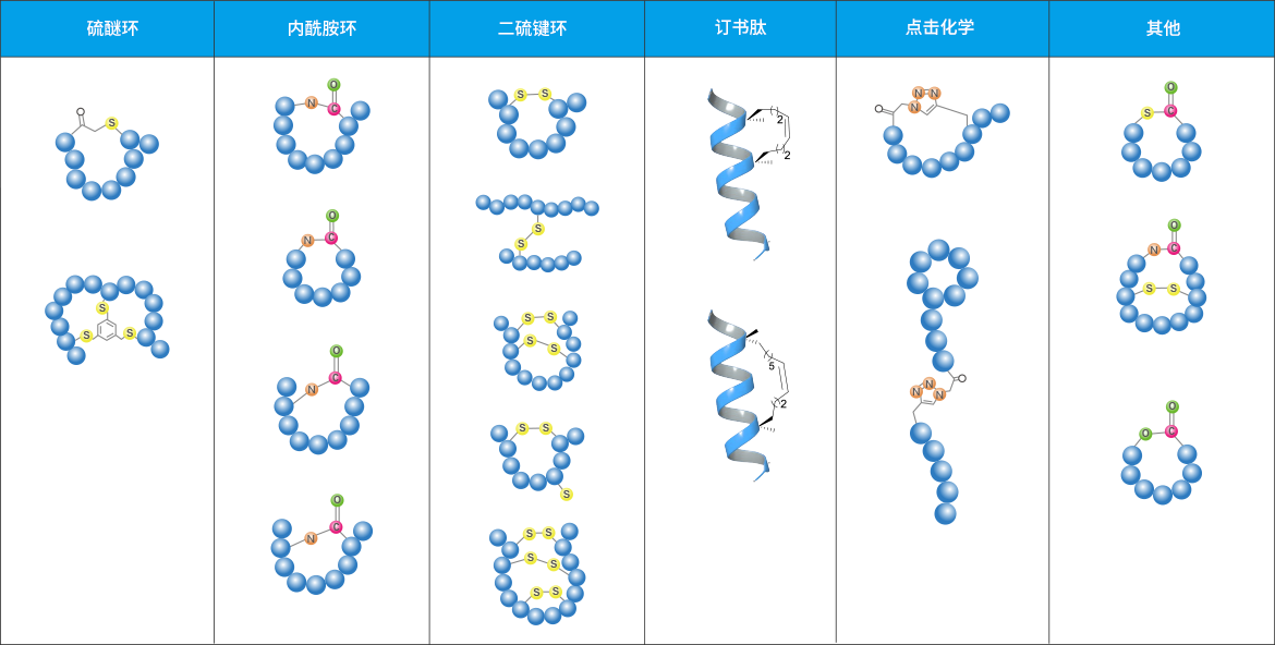 GenScript Offers Multiple Types of Cyclic Peptides