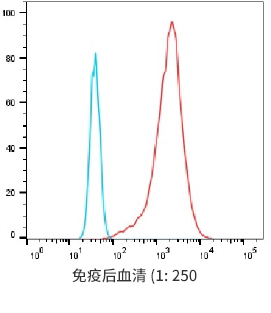 Serum titer after hPTX-LNP immunization