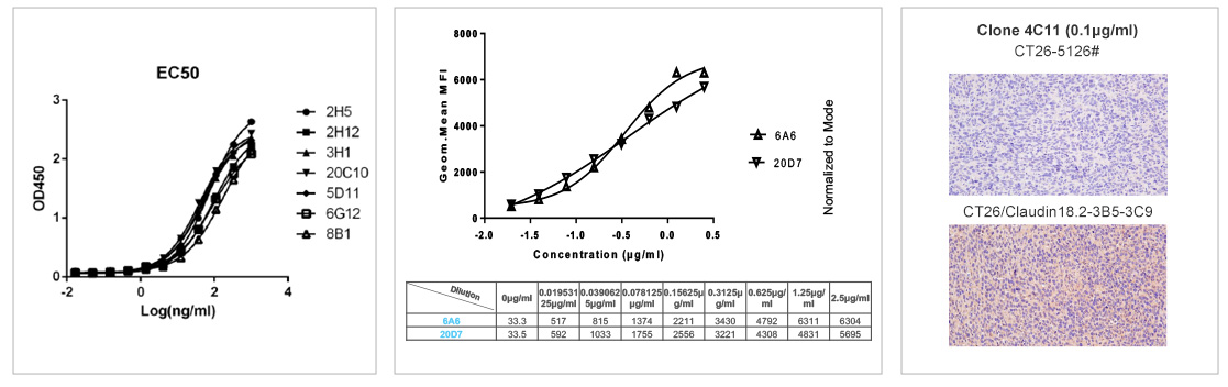 Germline Analysis and CDR Length Analysis 